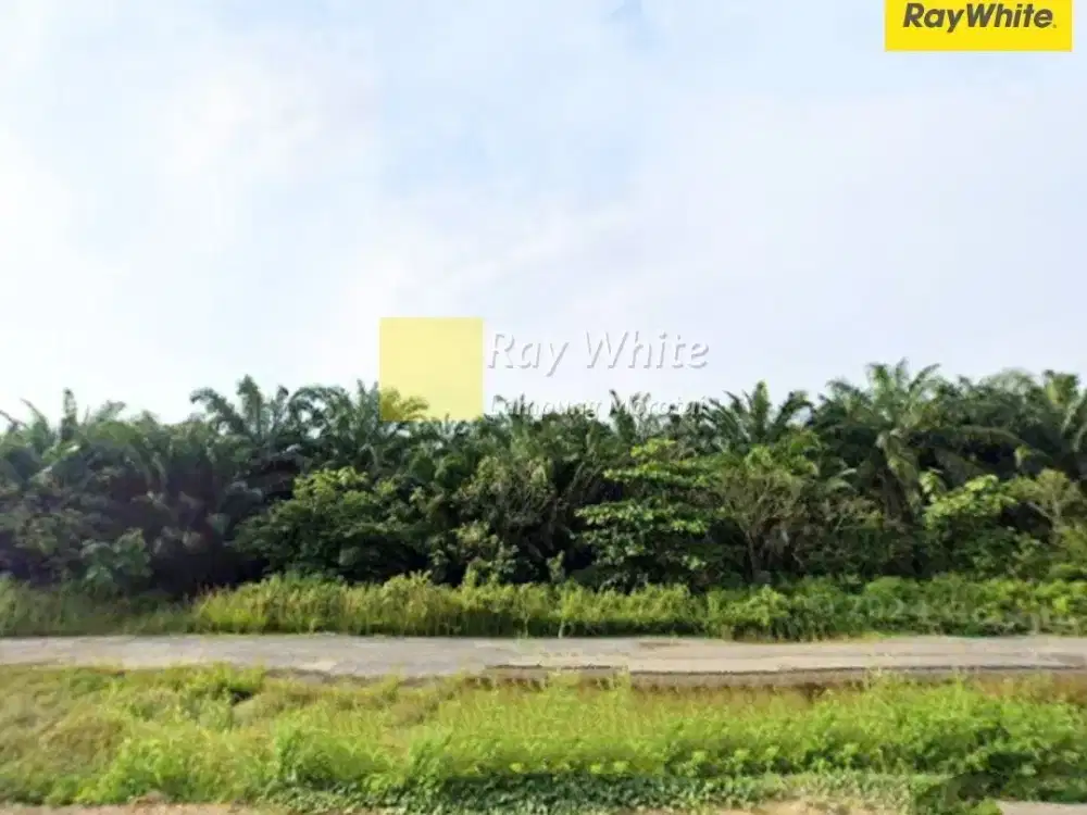 Dijual Tanahdi Jati agung, Lampung Selatan (Kode YOK 3674)