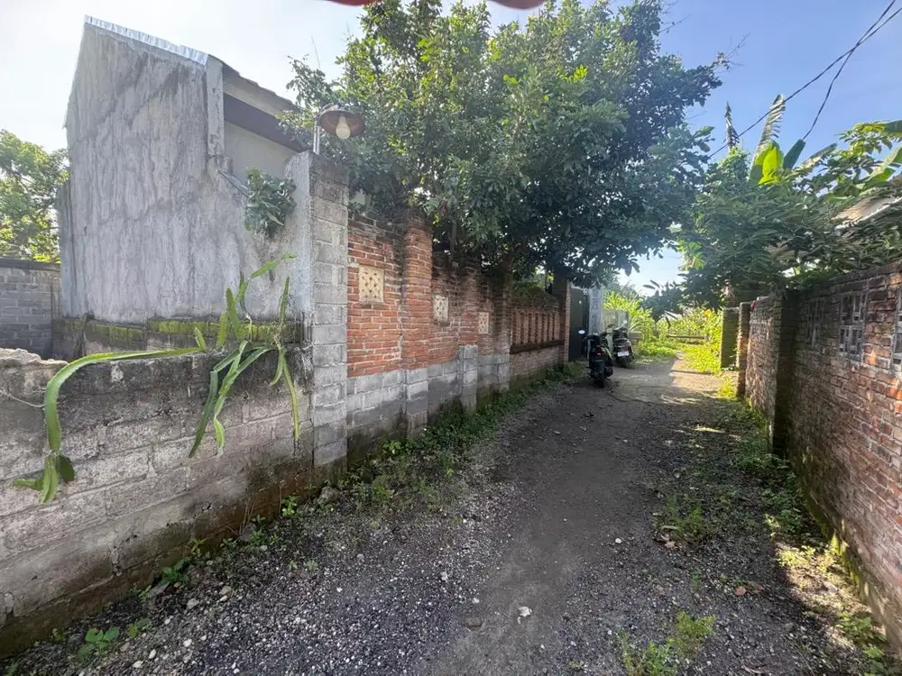 RUMAH DAN PEKARANGAN PRIBADI