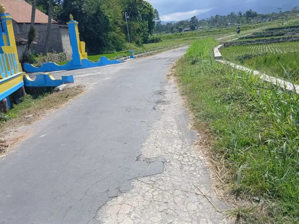 Dijual Sawah Murah Area Karangnongko, Klaten
