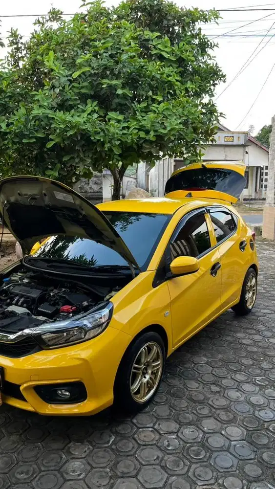 Brio Satya Automatic 2019