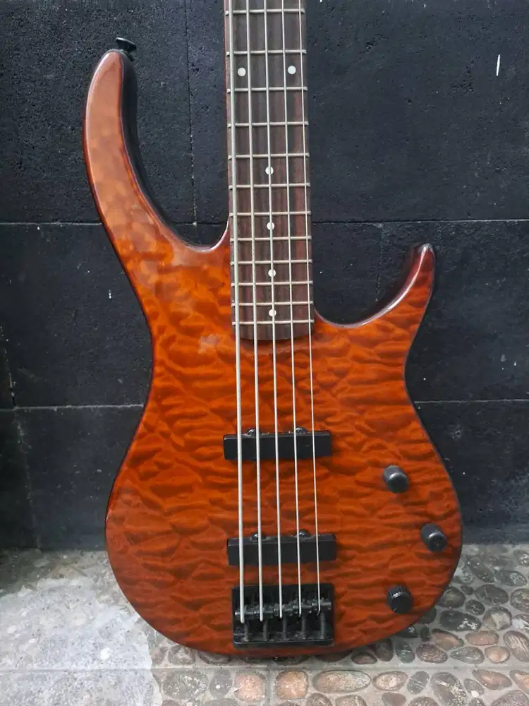 Bass PEAVEY Millennium BXP5 (5 String)