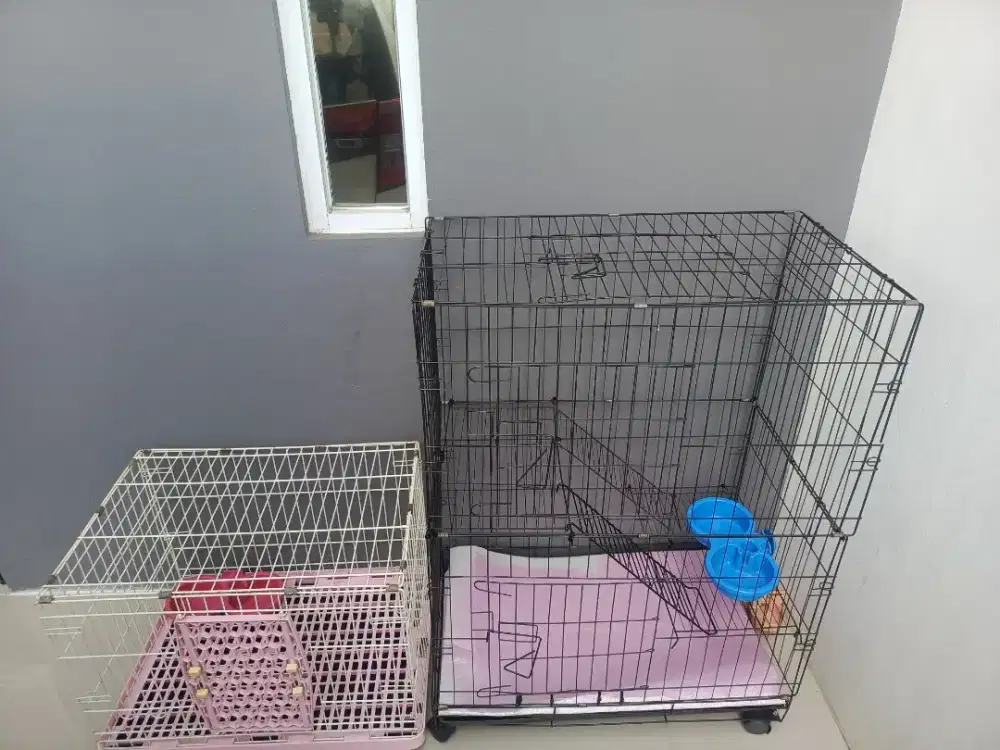 Kandang kucing ada 2 tingkat & ga tingkat harga 1jt nego..