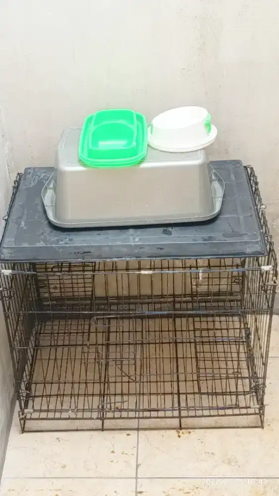 KANDANG DUA KUCING