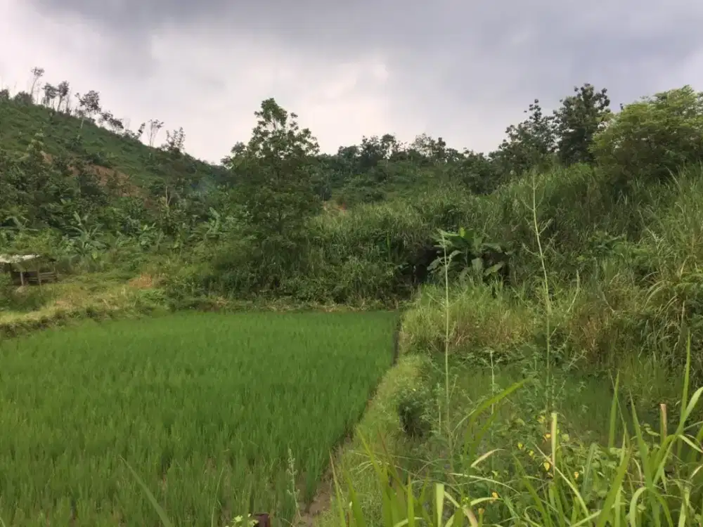 Di jual tanah 1 hektar lokasi strategis