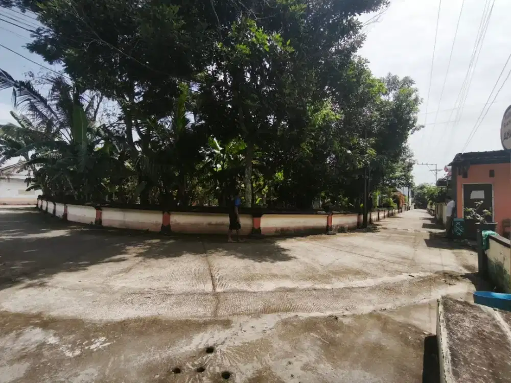 Tanah Sawah Strategis Murah di Mlati Sleman #Kode : TS 005