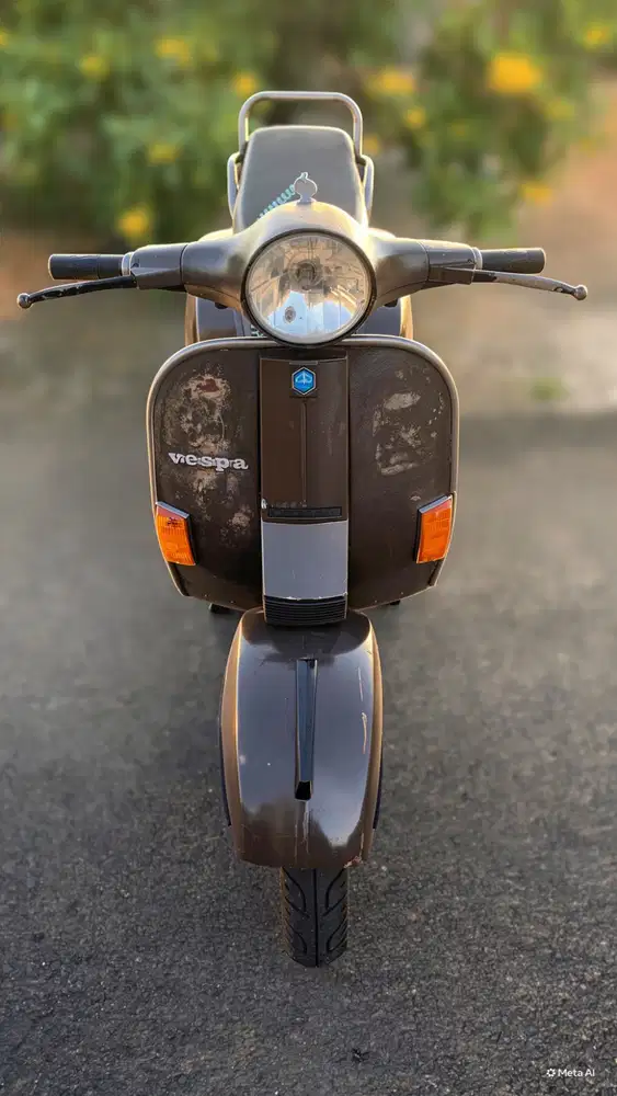 PX 1982 Darkbrown Rare