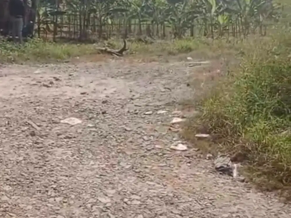 DIJUAL TANAH LUAS 3RIBU DI JL RAYA PASIR BARAT JAMBE TANGERANG, NO COBROKE