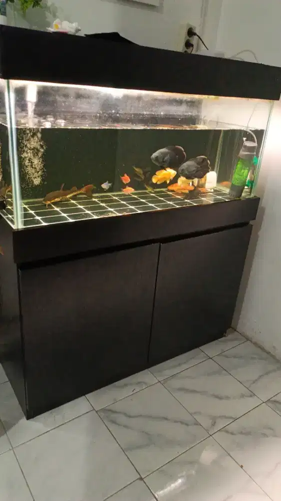 Akuarium Fullset Beserta Lemari dan Isinya