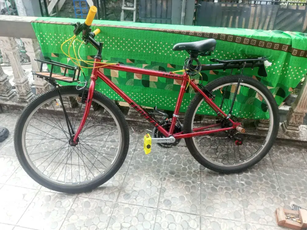 Sepeda federal torino