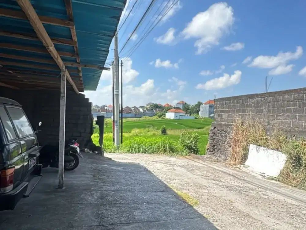 TANAH RICE FIELD VIEW DI AREA CEPAKA MUNGGU DEKAT SUN SCHOOL BALI