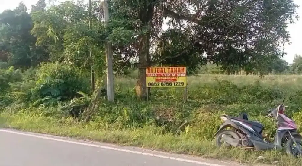 Dijual Tanah Luas +/- 2.000 M² Pinggir Jalan Negara di Gunung Tiga