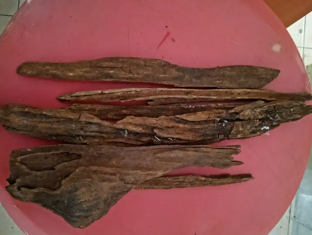 Dijual kayu gaharu wangi stok ada byk valid
