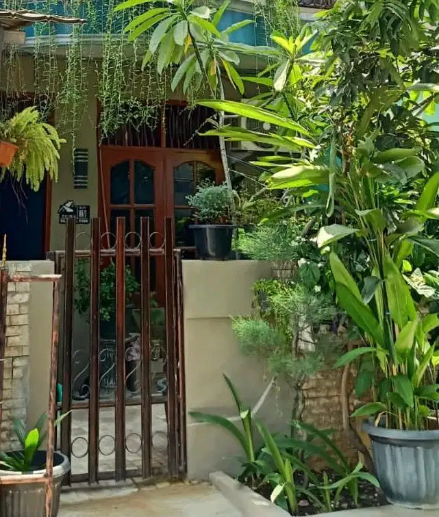 Disewakan Rumah