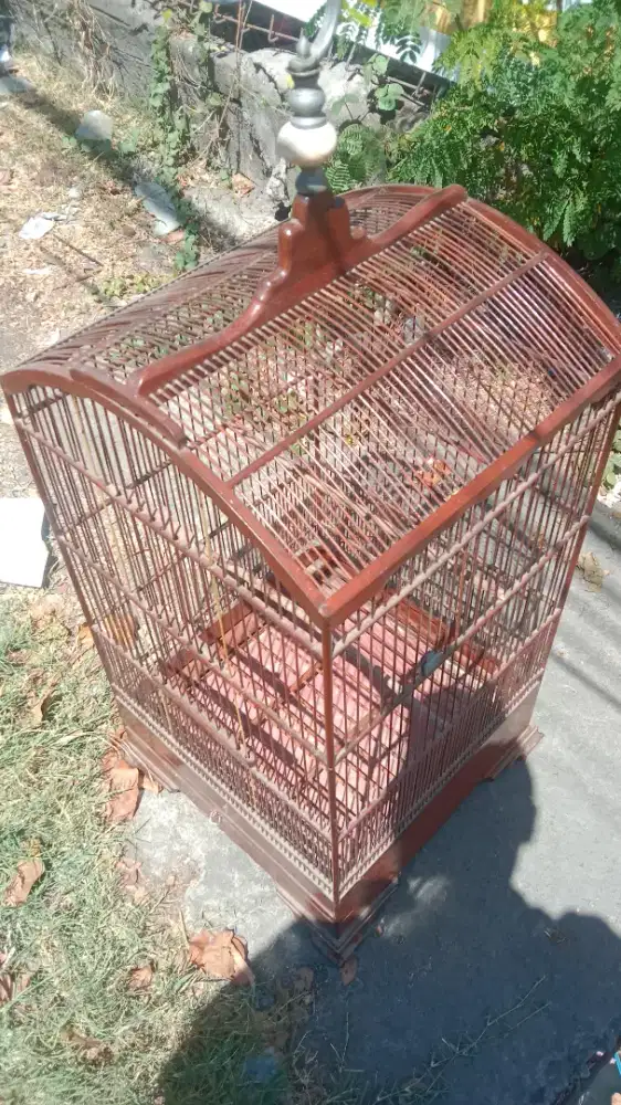 Sangkar kosan uk 40 x 40