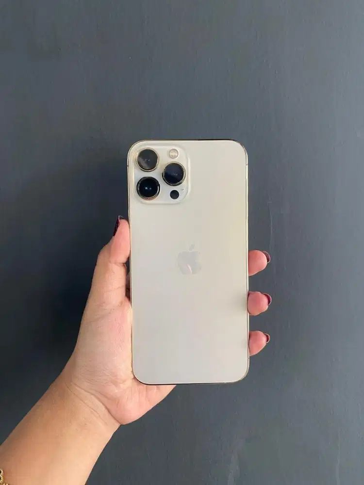 Iphone 13 promax 256Gb inter