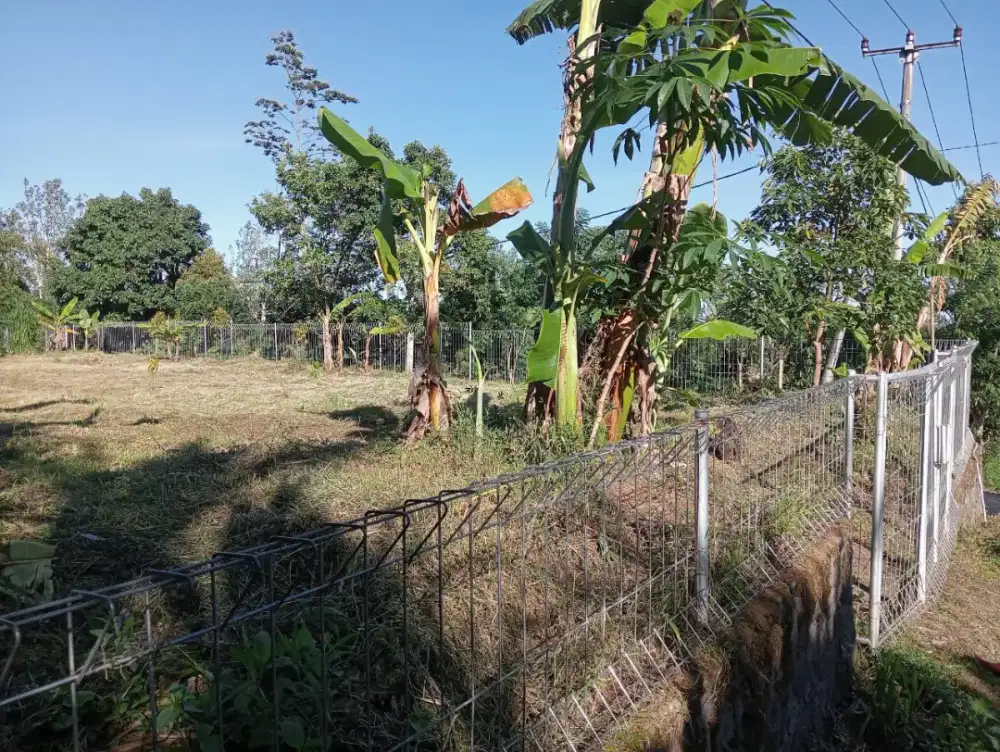 Dijual Tanah SHM Murah 760 m2 di Bedugul Bali