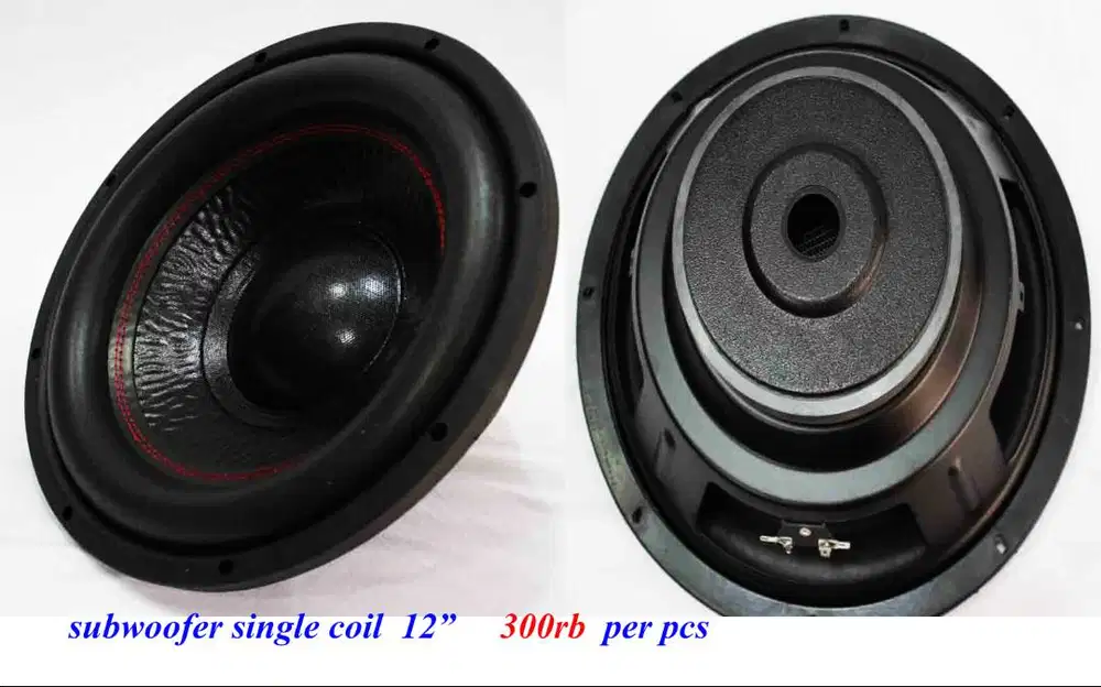 speaker sub 12in