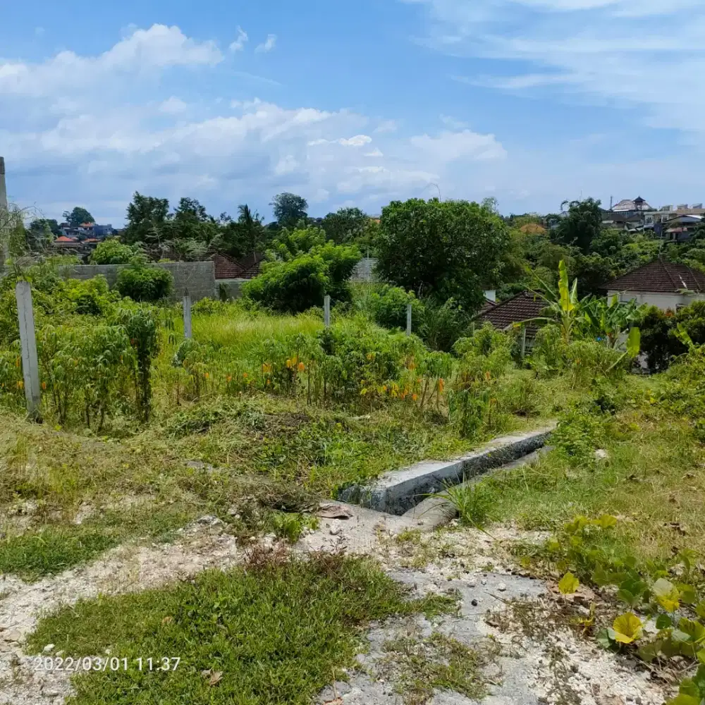Dijual Kavling Murah LT 160 m2 SHM di Tabanan Bali