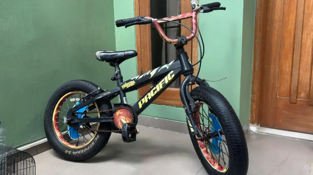 Sepeda anak bmx