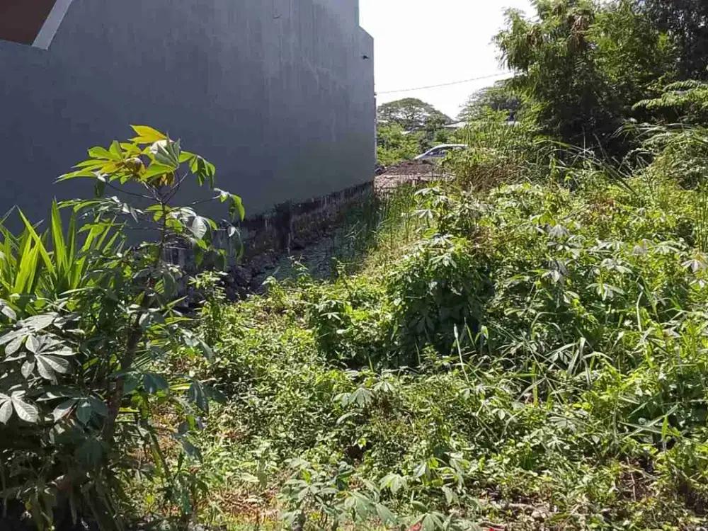 Tanah Murah siap Bangun di Wonorejo Selatan, Rungkut, Sby Timur