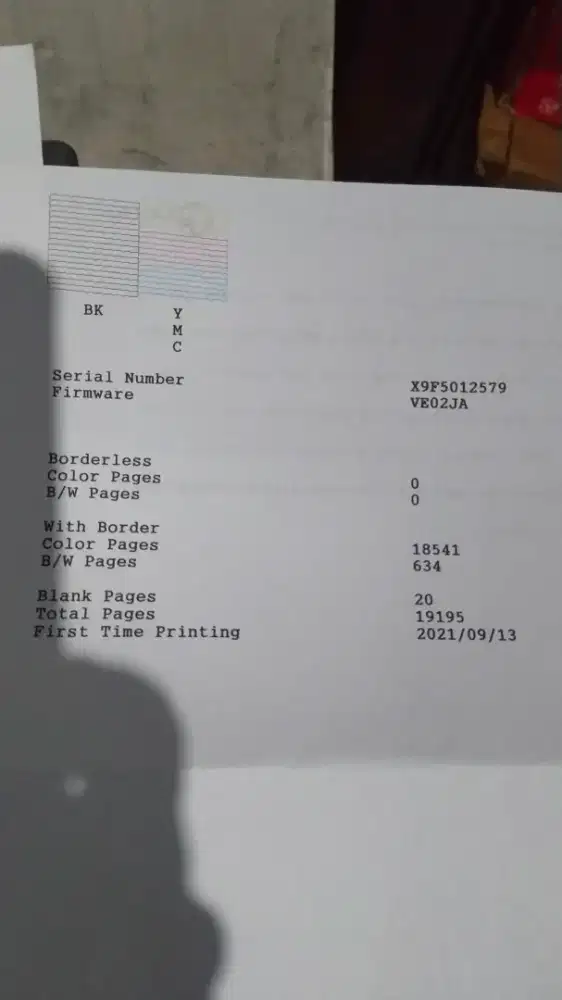 Printer epson L 1110