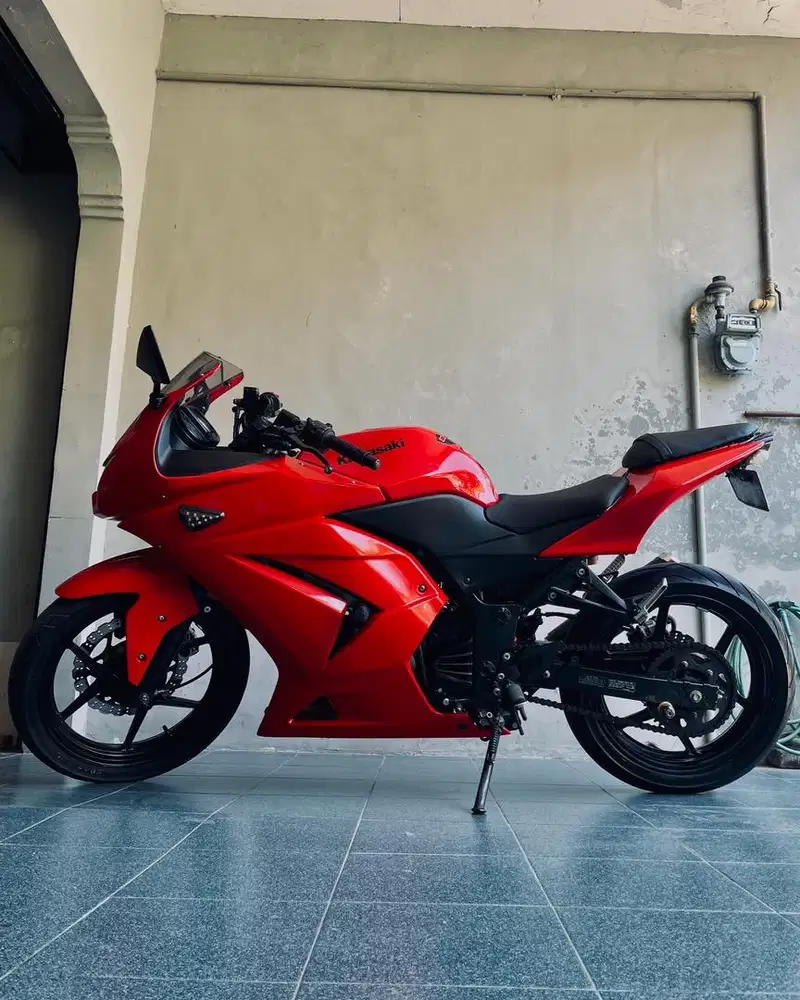 Kawasaki Ninja 250 Karbu