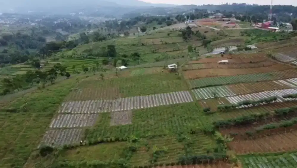 DIJUAL CEPAT TANAH PUNCAK SIMUN