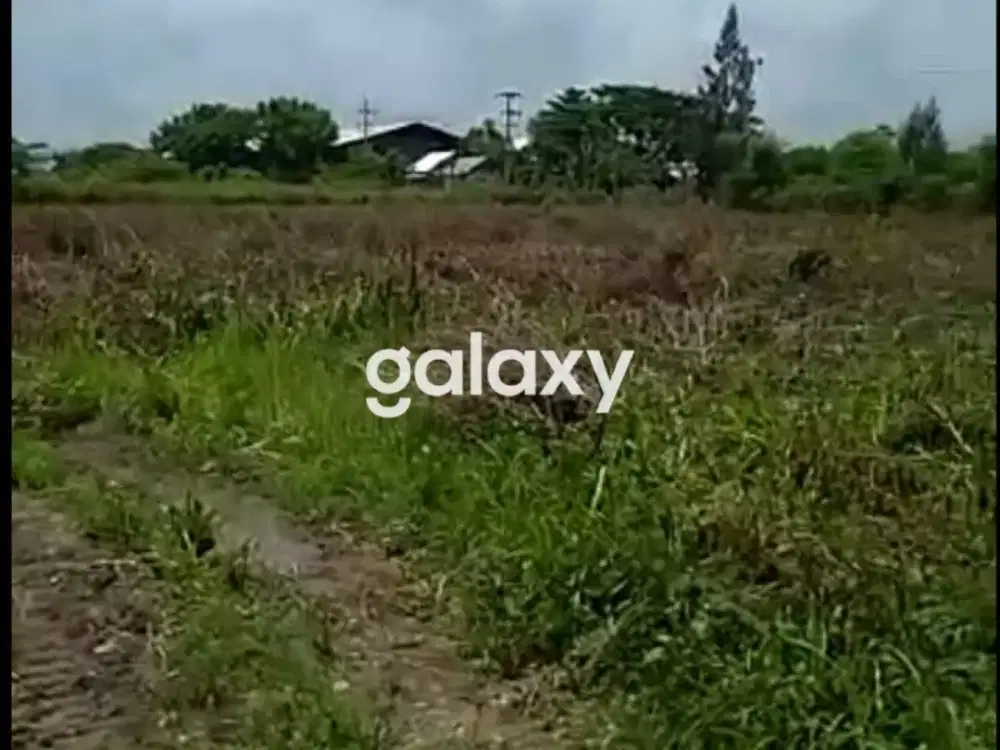 TANAH DAERAH TUBAN COCOK UNTUK INDUSTRI