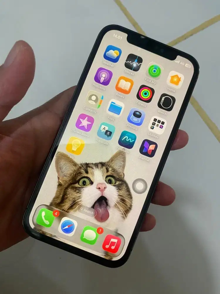 Iphone 12 Pro 128GB All Operator Beacukai