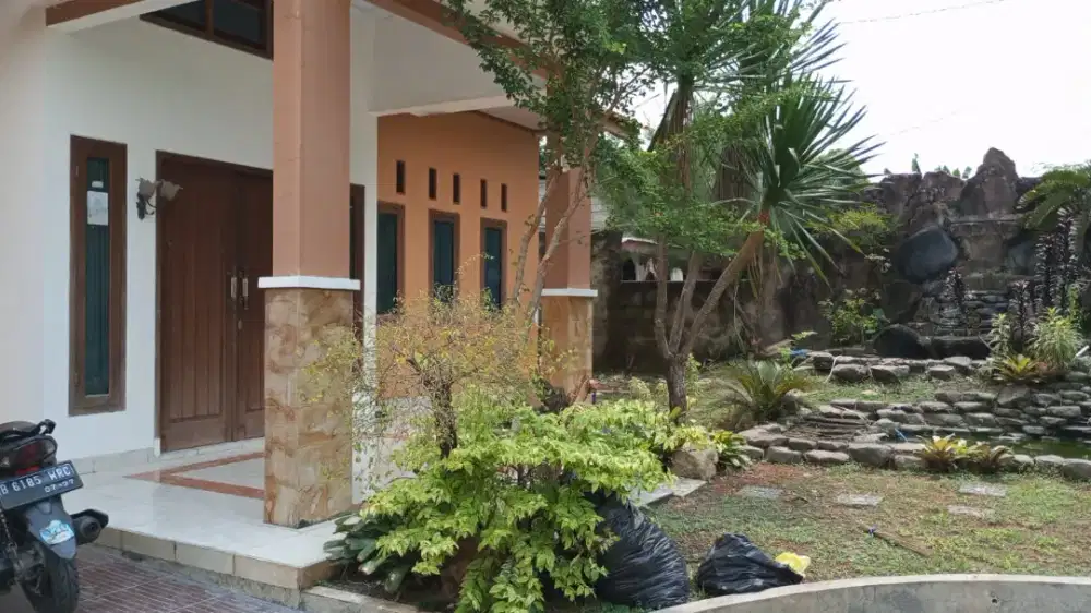 Disewakan rumah besar 3 kamar tidur 2 kamar mandi, taman, parkir luas