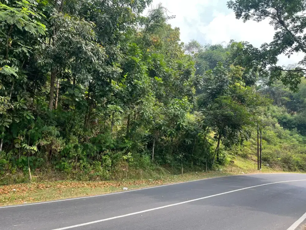 Tanah Strategis 4300m² Tawangmangu