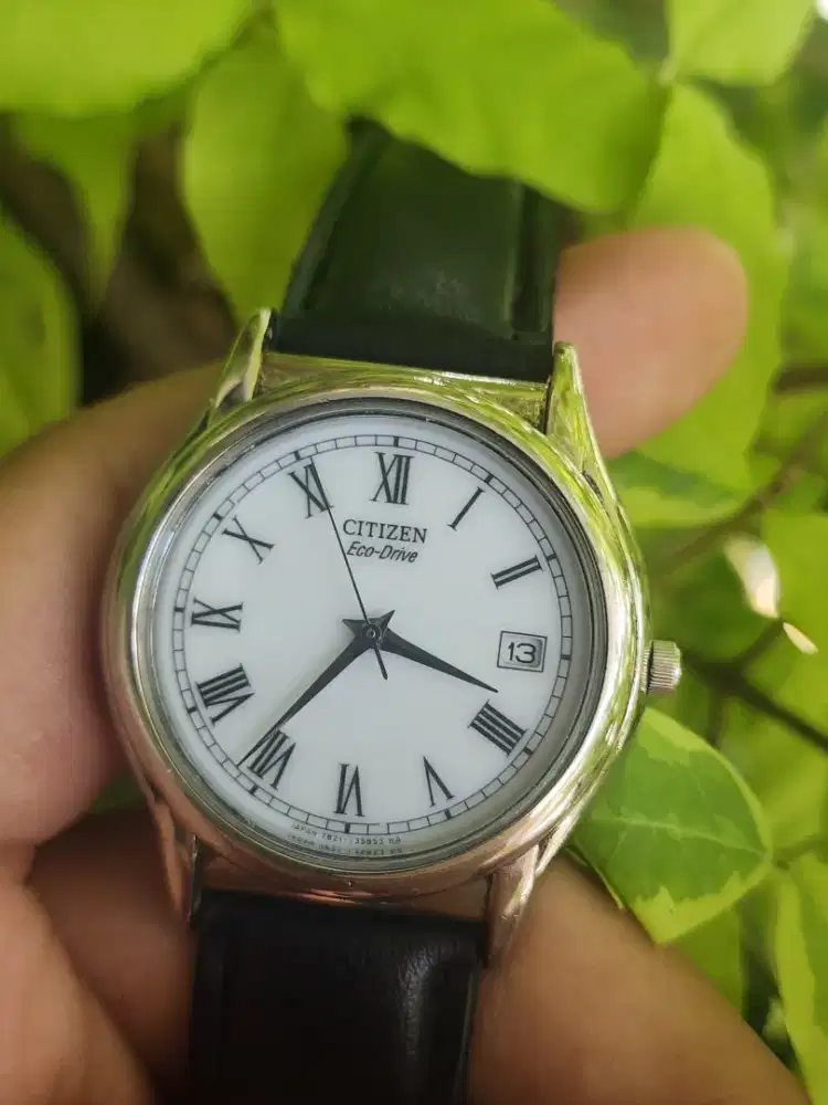 Citizen ecodrive roman index