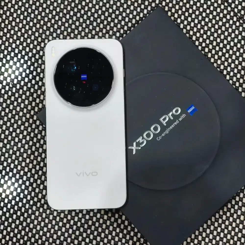 vivo x300 pro mulus terawat