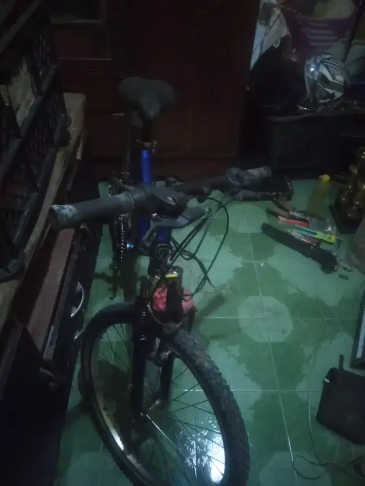 Sepeda Biru Biru