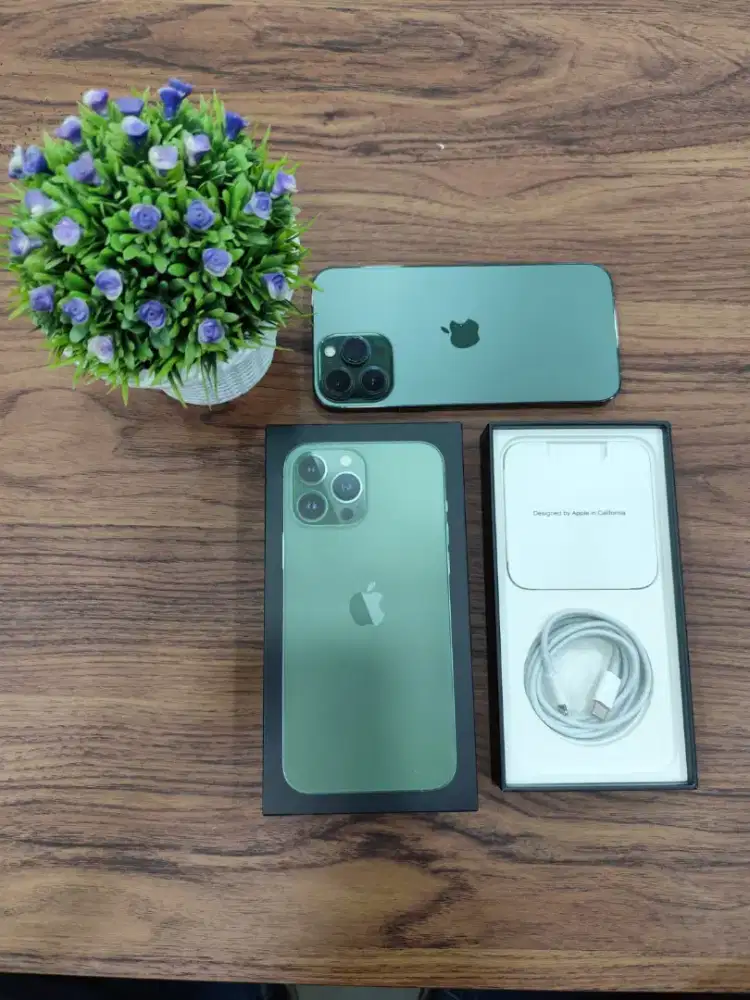 Iphone 13 Promax 512gb bh77% mulus all operator permanent
