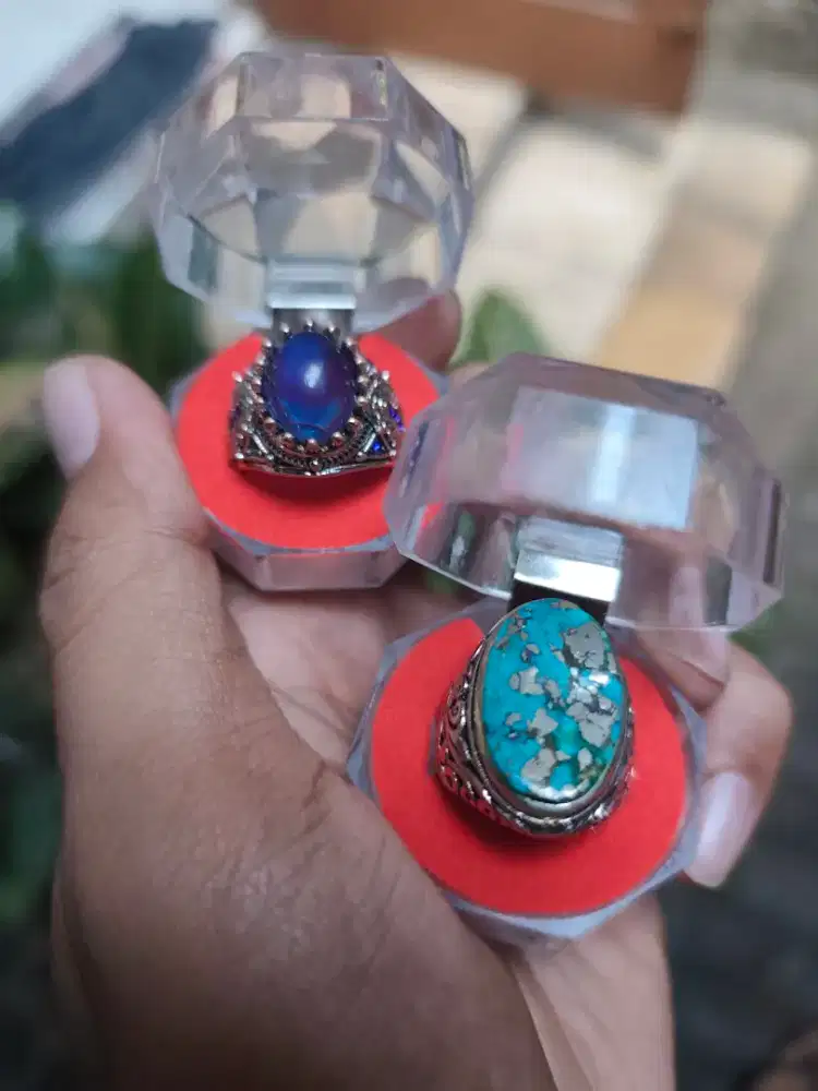 Pirus persia & sapir