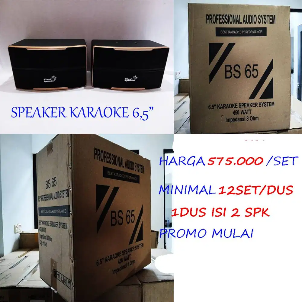 speaker 6,5in pasif