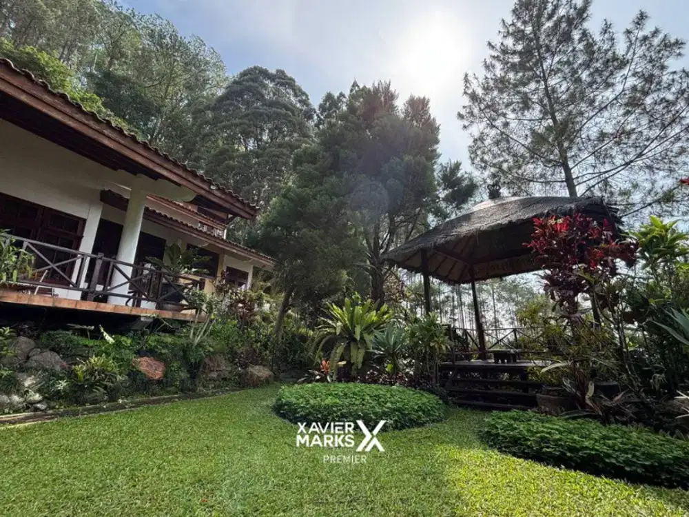 Villa Artistik dengan View Menawan di Kaki Bukit Pinus Songgoriti, Batu