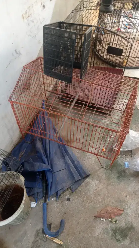 Jual kandang burung lovebird, tempat pemandianburung,kandang murai dll