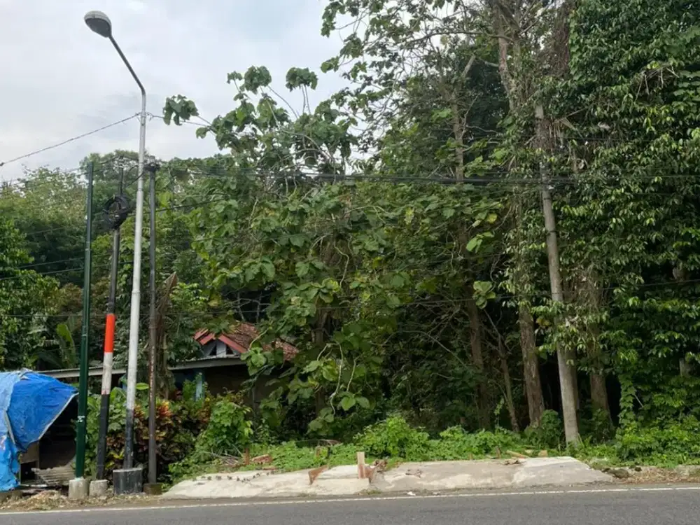 Tanah Mangku Jalan Raya Utama Kretek Bantul#Kode : TP 048