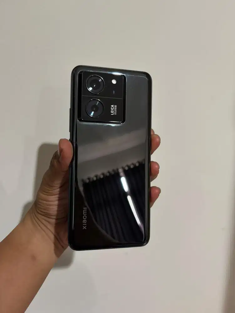Xiaomi 13 T (12/256)
