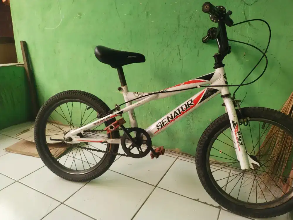 Sepeda anak senator