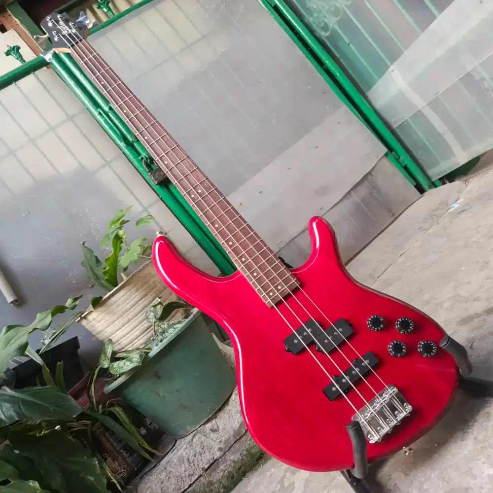 Bass Cort action plus 2023 original