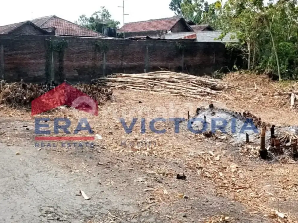 Dijual Tanah Kademangan Blitar Terletak di Belakang SMK 1 Kademangan 500m Dari Jalan Antar Kota Dalam Provinsi Dekat Dengan Pasar Kedemangan