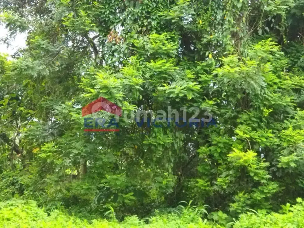 Dijual Tanah di Bandar Kidul 5 menit dari RSUD Kilisuci, IIK & SMK Bhakti Wiyata, Pasar Bandar