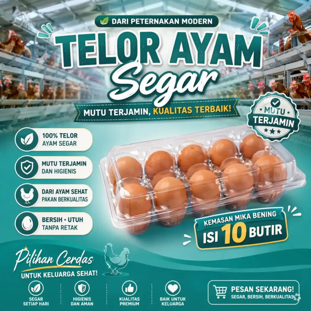 Telur Ayam Segar