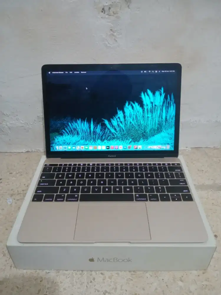 MacBook Retina 12in Early 2015 Fulset dus Box
Intel core M
Ram 8/512GB