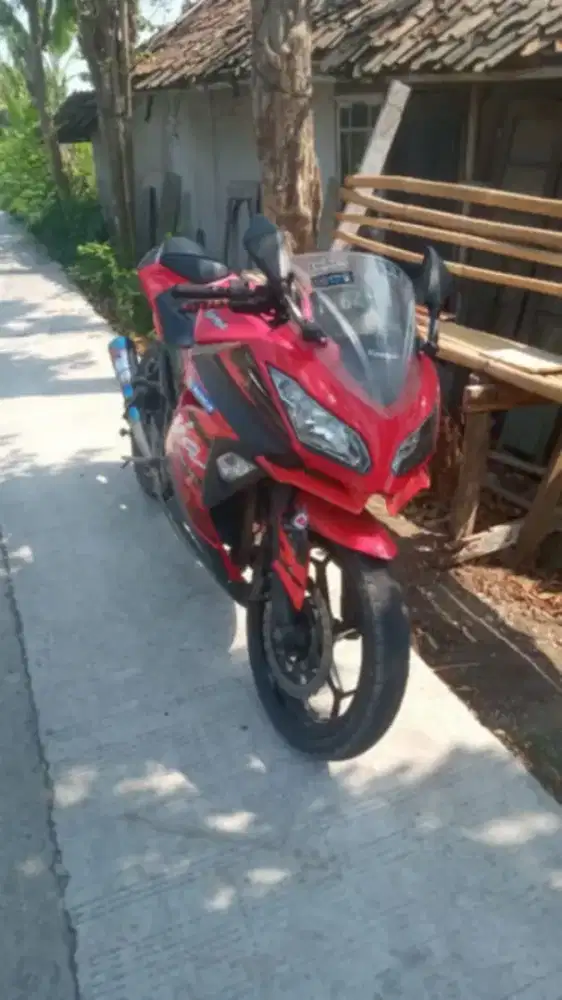 Kawasaki Ninja 250