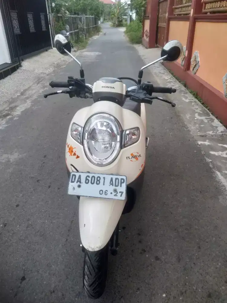 Scoopy tahun 2017 hidupan