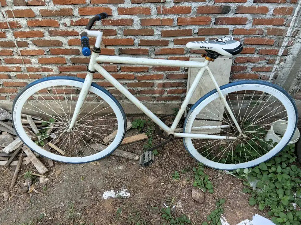 Sepeda fixie siap pakai tinggal goes